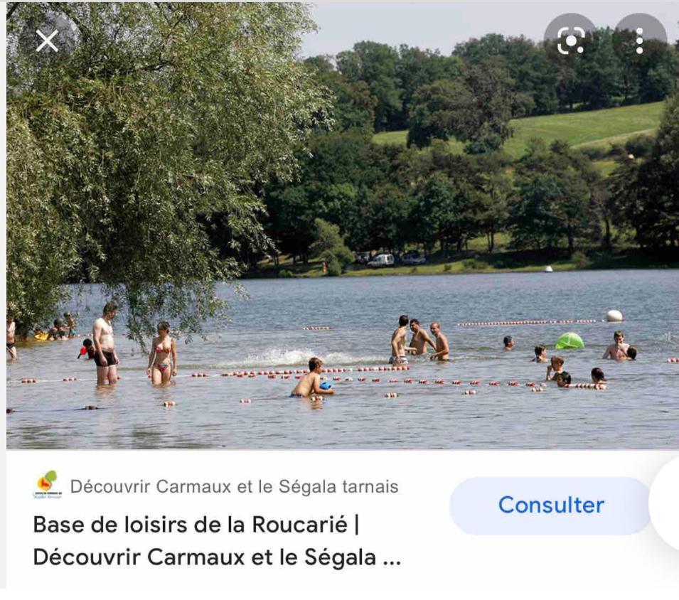 Le Gite De Las Peyros Mirandol-Bourgnounac Luaran gambar